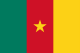 Cameroonian flag